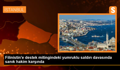 Filinistin’e destek mitingindeki yumruklu saldırı davasında sanık hakim karşında