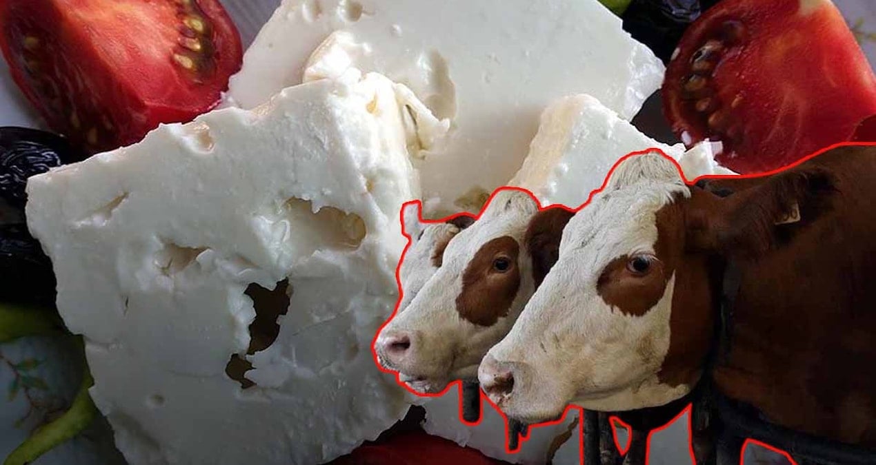 Peynir, sıcak iklimin kurbanı oldu